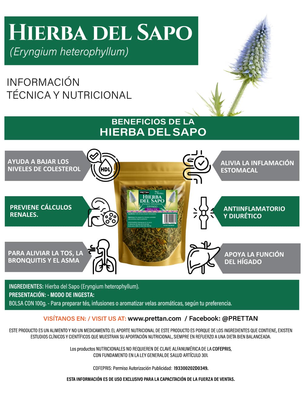 HIERBA DEL SAPO 100G - Imagen 2