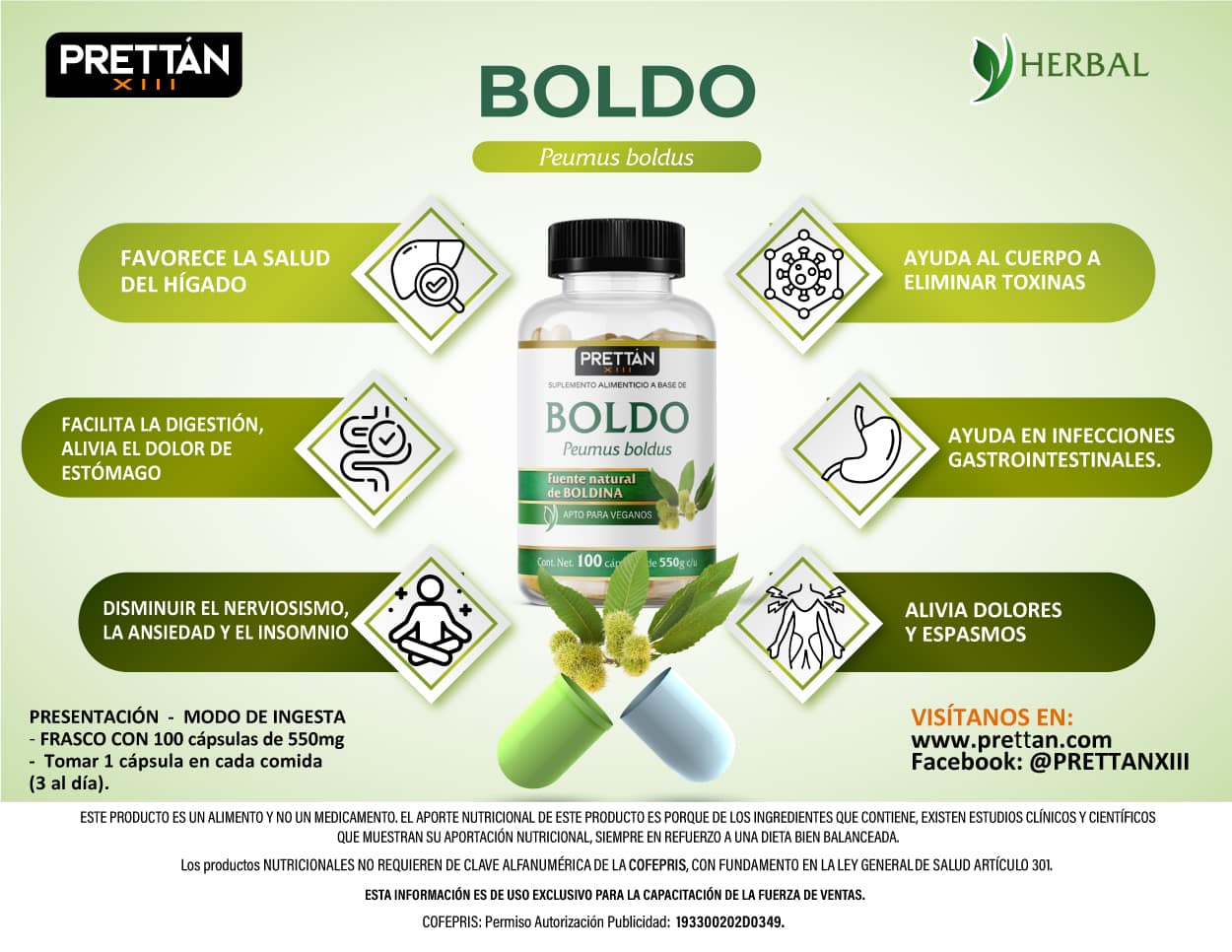 BOLDO 100 CÁPSULAS - Imagen 2