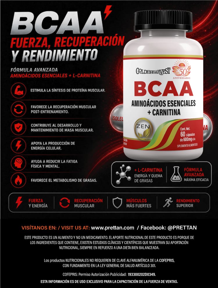 BCAA AMINOÁCIDOS ESENCIALES + CARNITINA - Imagen 3
