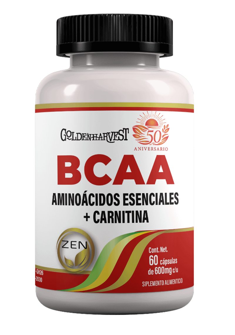 BCAA AMINOÁCIDOS ESENCIALES + CARNITINA