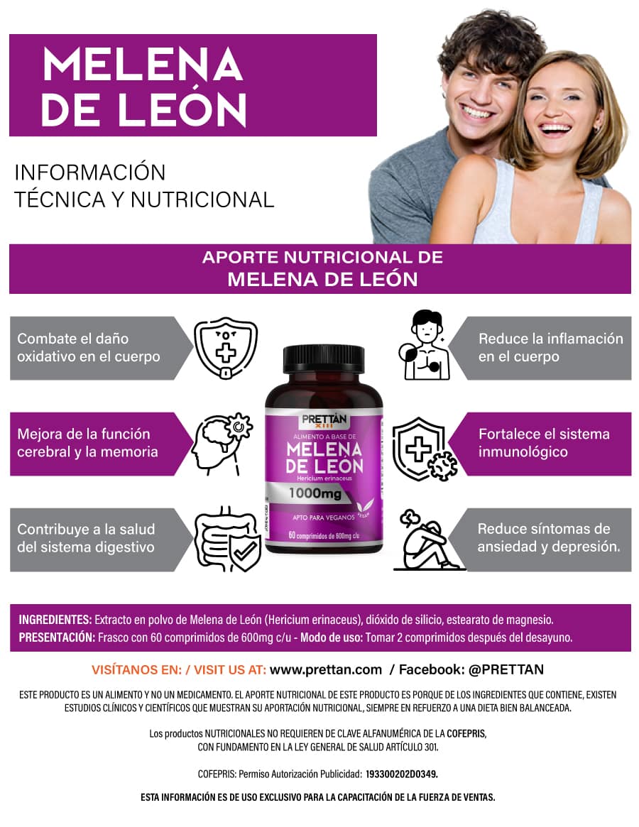 Melena de león - Imagen 4
